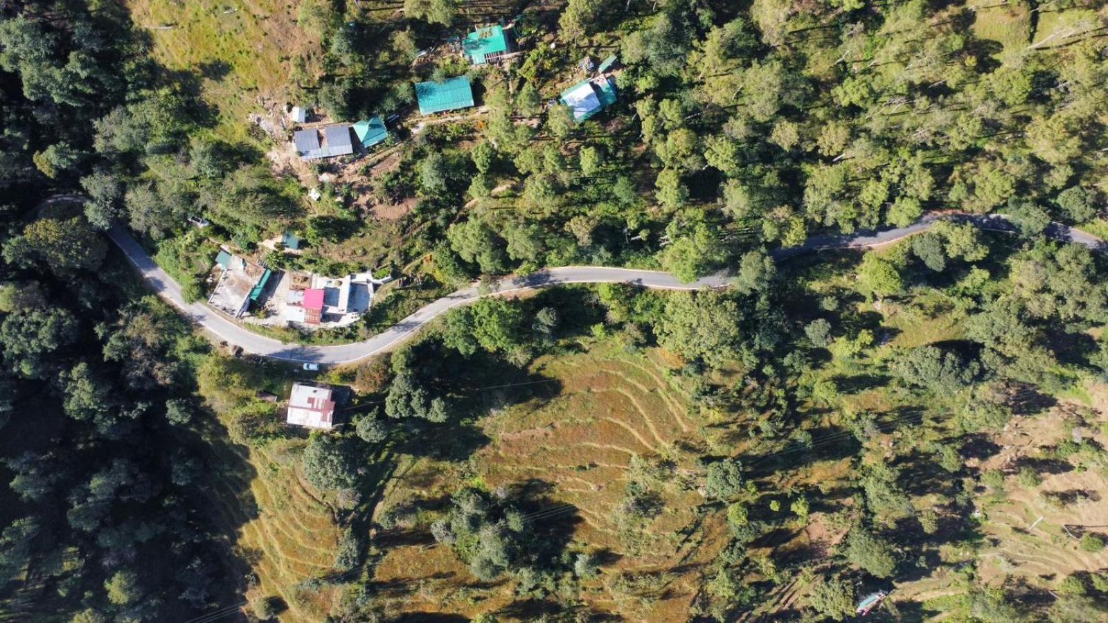 Zenoaks Homestay Almora Εξωτερικό φωτογραφία