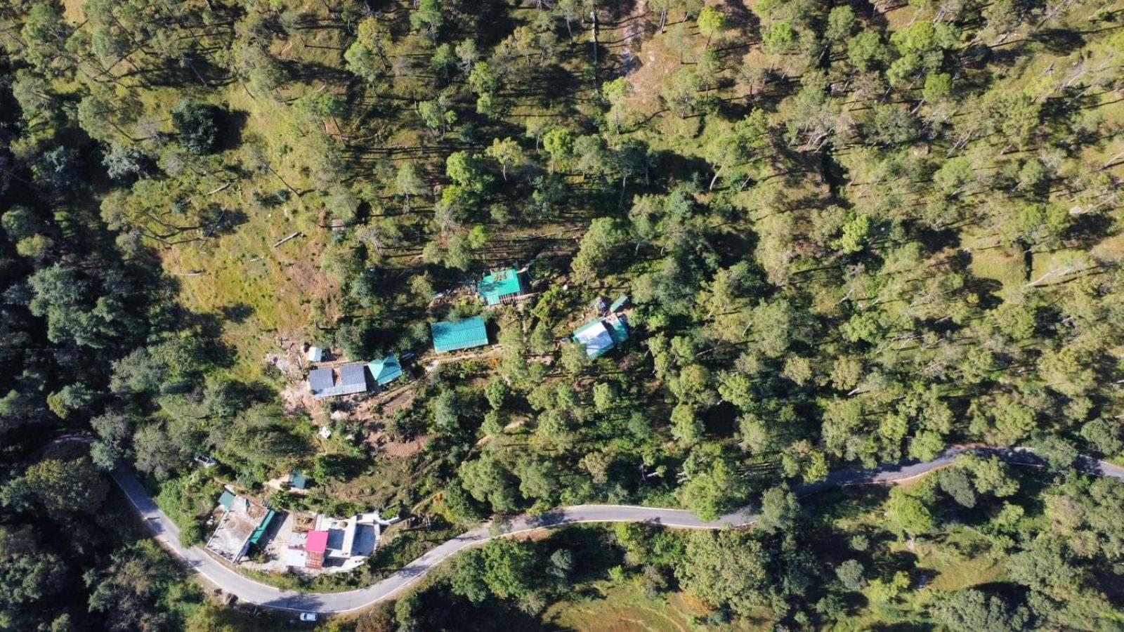 Zenoaks Homestay Almora Εξωτερικό φωτογραφία